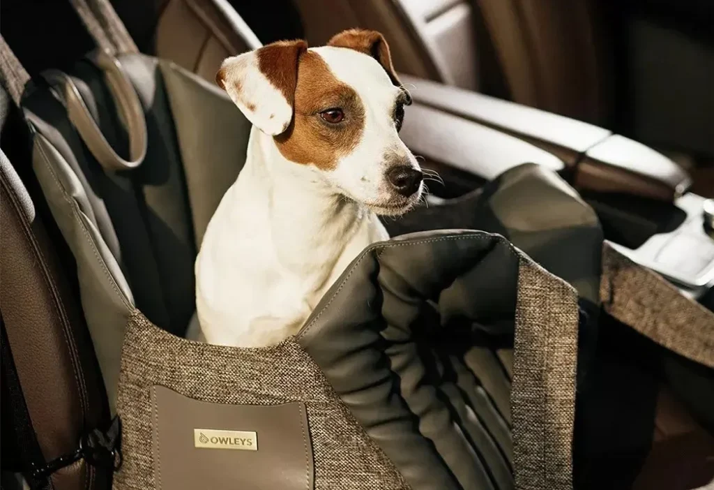 Minivan dog carrier car seat