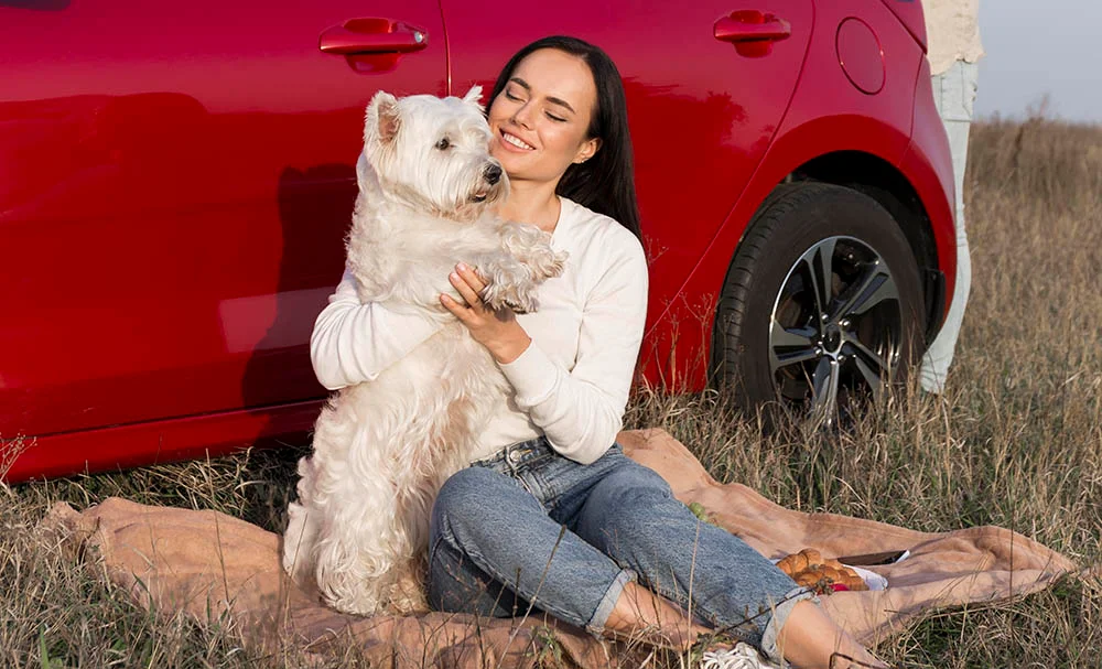 how to get dog pee out of car seat 